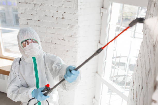 Best Comprehensive Air Testing for Mold Contaminants  in Armonk, NY