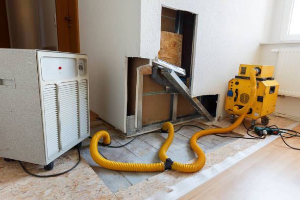 Trusted Armonk, NY Mold Removal Experts