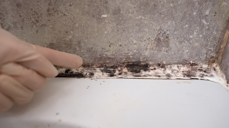 Best HVAC Mold Inspection and Cleaning  in Armonk, NY