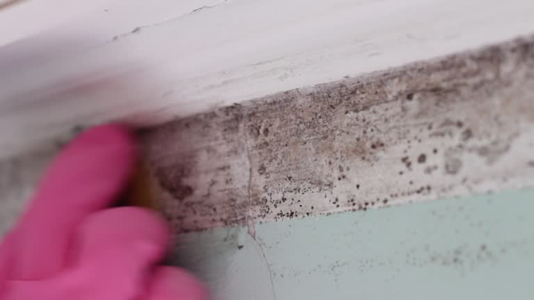 Best Indoor Air Quality Assessment  in Armonk, NY